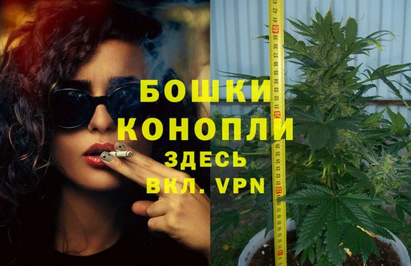 spice Надым
