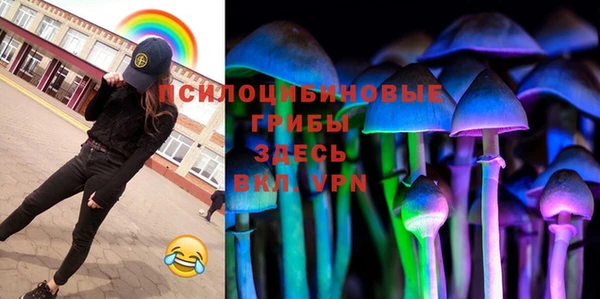 PSILOCYBIN Дмитровск